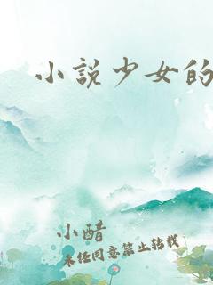 小说少女的心