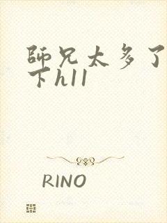 师兄太多了装不下h11