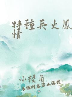 特种兵火凤凰剧情