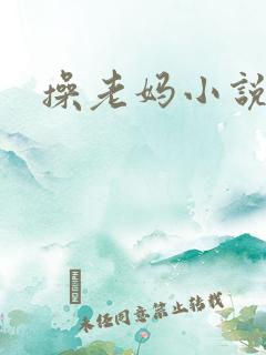 操老妈小说