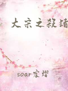 大宋之杀猪状元