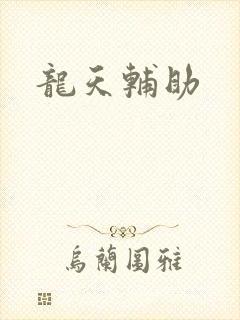 龙天辅助
