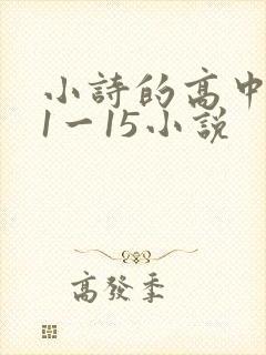 小诗的高中日记1一15小说