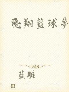 飞翔篮球梦下载