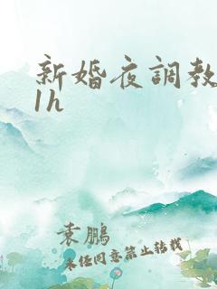 新婚夜调教1v1h