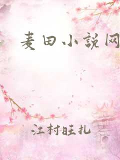 麦田小说网