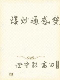 爆炒通感双胞胎