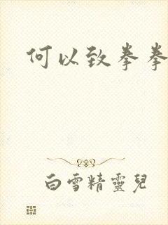 何以致拳拳番外
