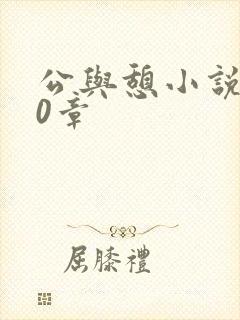 公与憩小说400章