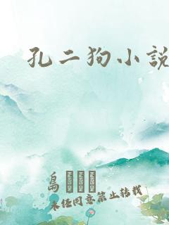 孔二狗小说