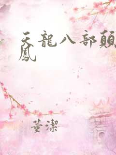 天龙八部颠龙鸾凤