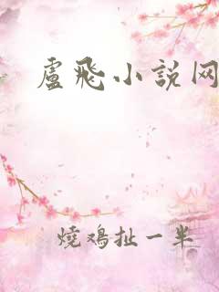 卢飞小说网