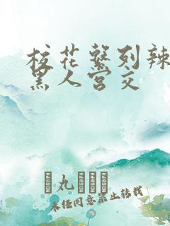 校花系列辣h文黑人宫交