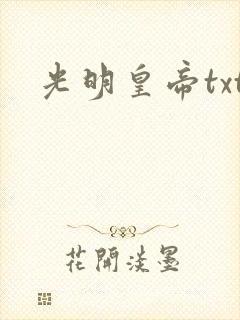 光明皇帝txt