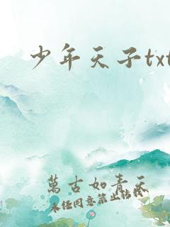 少年天子txt