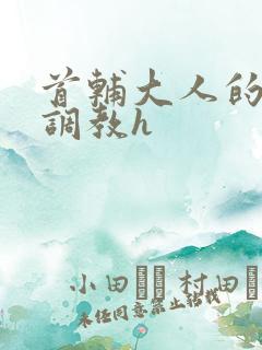 首辅大人的花式调教h