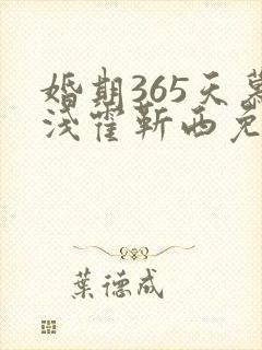 婚期365天慕浅霍靳西免费阅读