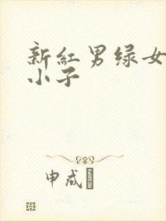 新红男绿女之坏小子