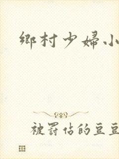乡村少妇小说