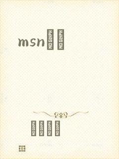 msnС˵