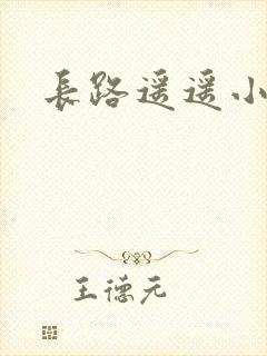 长路遥遥小说