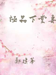 极品下堂妻