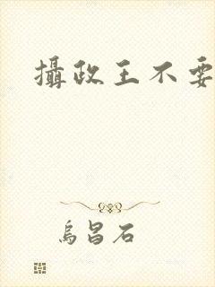 摄政王不要
