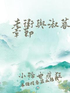 老卫与淑蓉全部章节