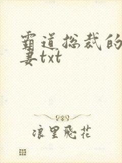 霸道总裁的挂名妻txt