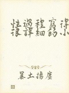 性过程写得很黄很详细的小说