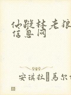 仙踪林老狼贰佰信息网