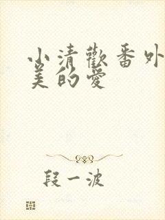 小清欢番外篇完美的爱