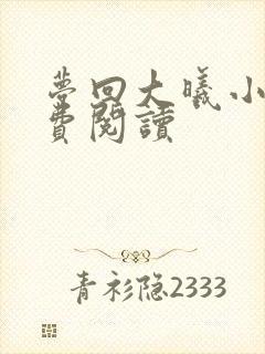 梦回大曦小说免费阅读