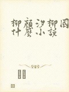 柳颜汐柳国安是什么小说