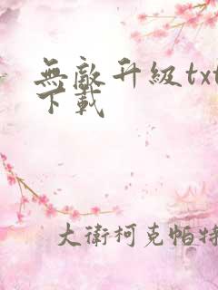 无敌升级txt下载