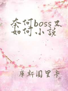 奈何boss又如何小说