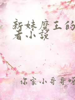 新妹魔王的契约者小说
