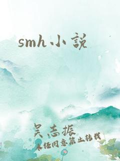 smh小说