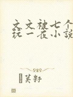 文文被七个男人玩一夜小说