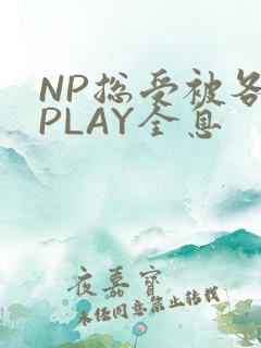 NP总受被各种PLAY全息