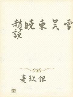 赵晓东吴雪晴小说