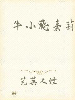 牛小飞秦莉莉