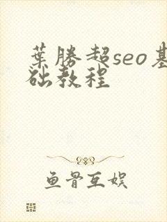 叶胜超seo基础教程