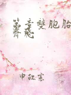 第章双胞胎姐妹齐飞