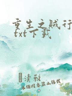 重生之贼行天下 txt下载