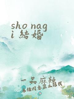 sho nagi 结婚