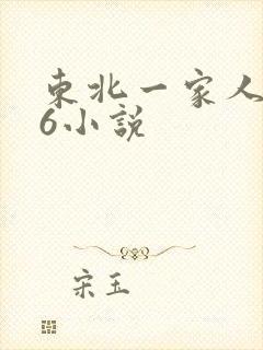 东北一家人1一6小说