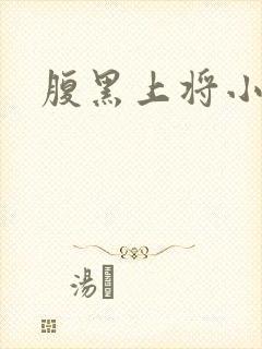 腹黑上将小小妻