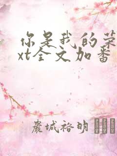 你是我的荣耀txt全文加番外