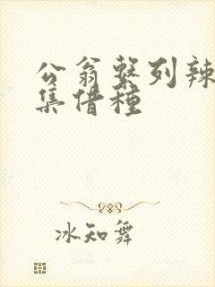 公翁系列辣文全集借种